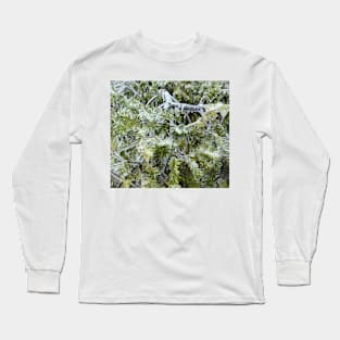 Frozen Canadian Hemlock - Freezing Rain in the Spring Long Sleeve T-Shirt